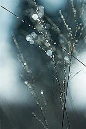 大小5.7GB！ 《黑神话：悟空》Steam版更新优化上线